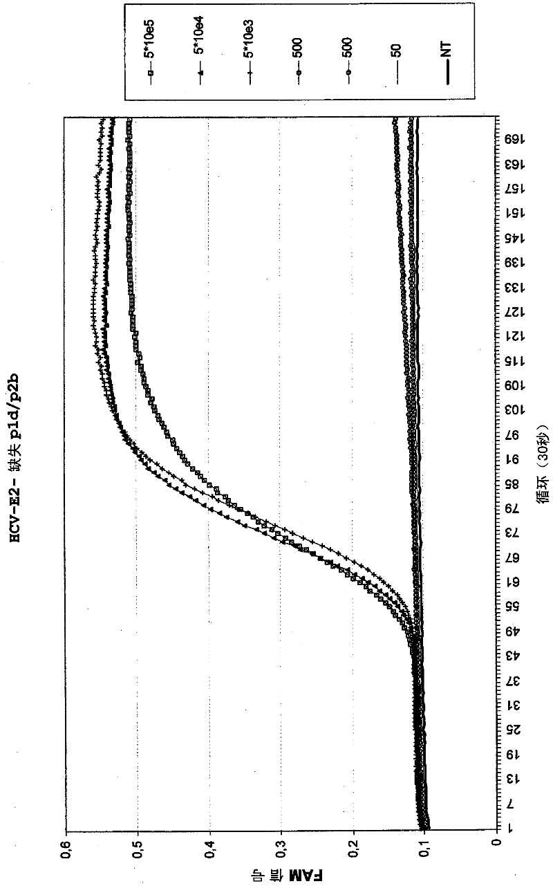 Method for lowering the dependency towards sequence variation of a nucleic acid target in a diagnostic hybridization assay