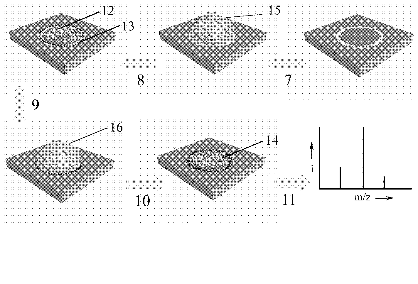 Concentration and demineralization purification treatment method of biological samples