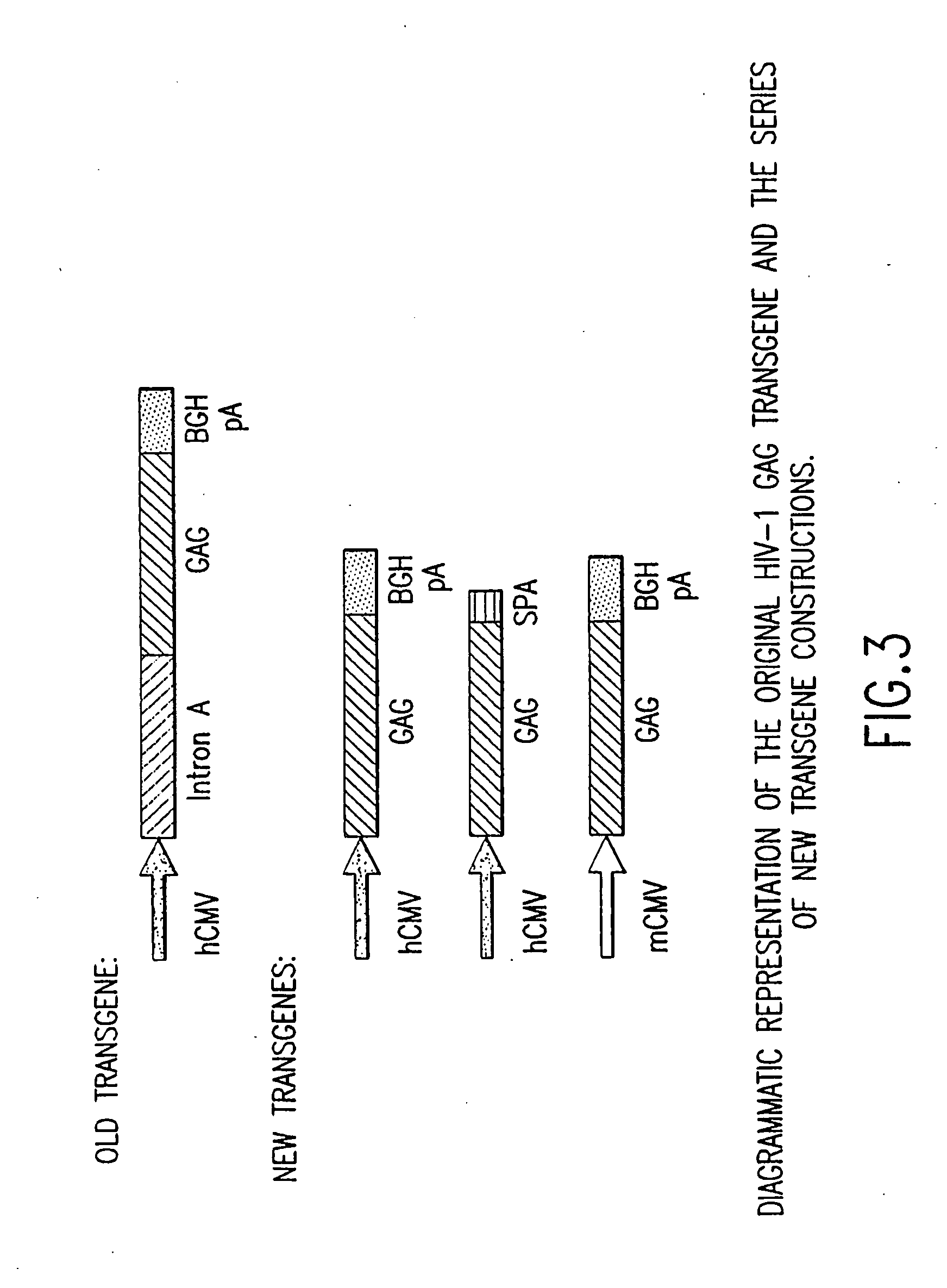 Method of inducing an enhanced immune response against hiv