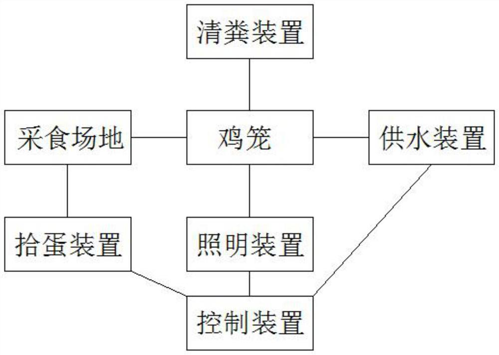 Automatic pheasant raising system