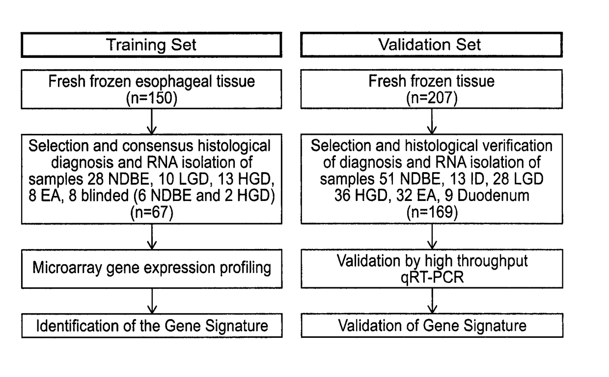 Methods and means for dysplasia analysis