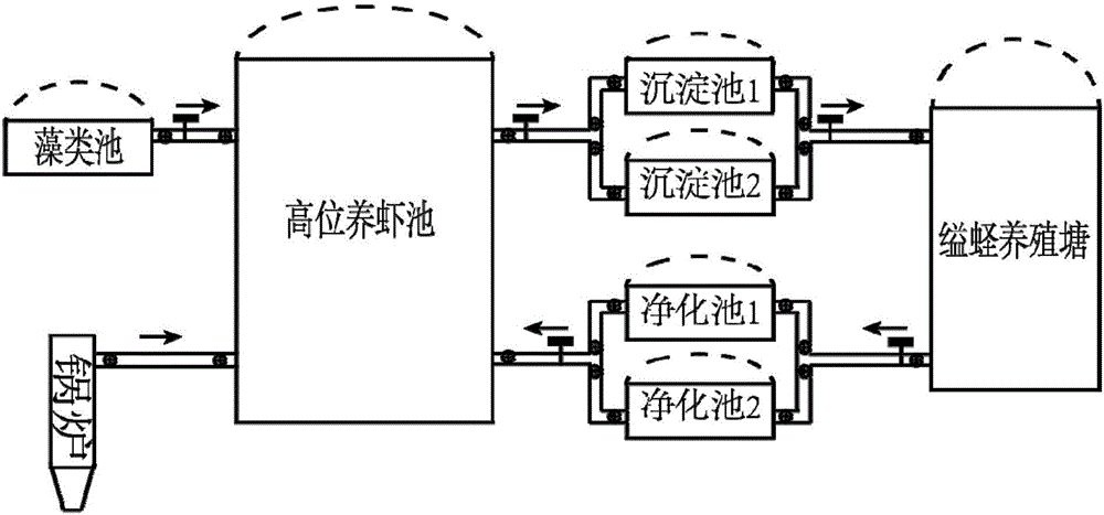 Ecological circulation culture method and device for algae, prawns and sinonovacula constricta in winter