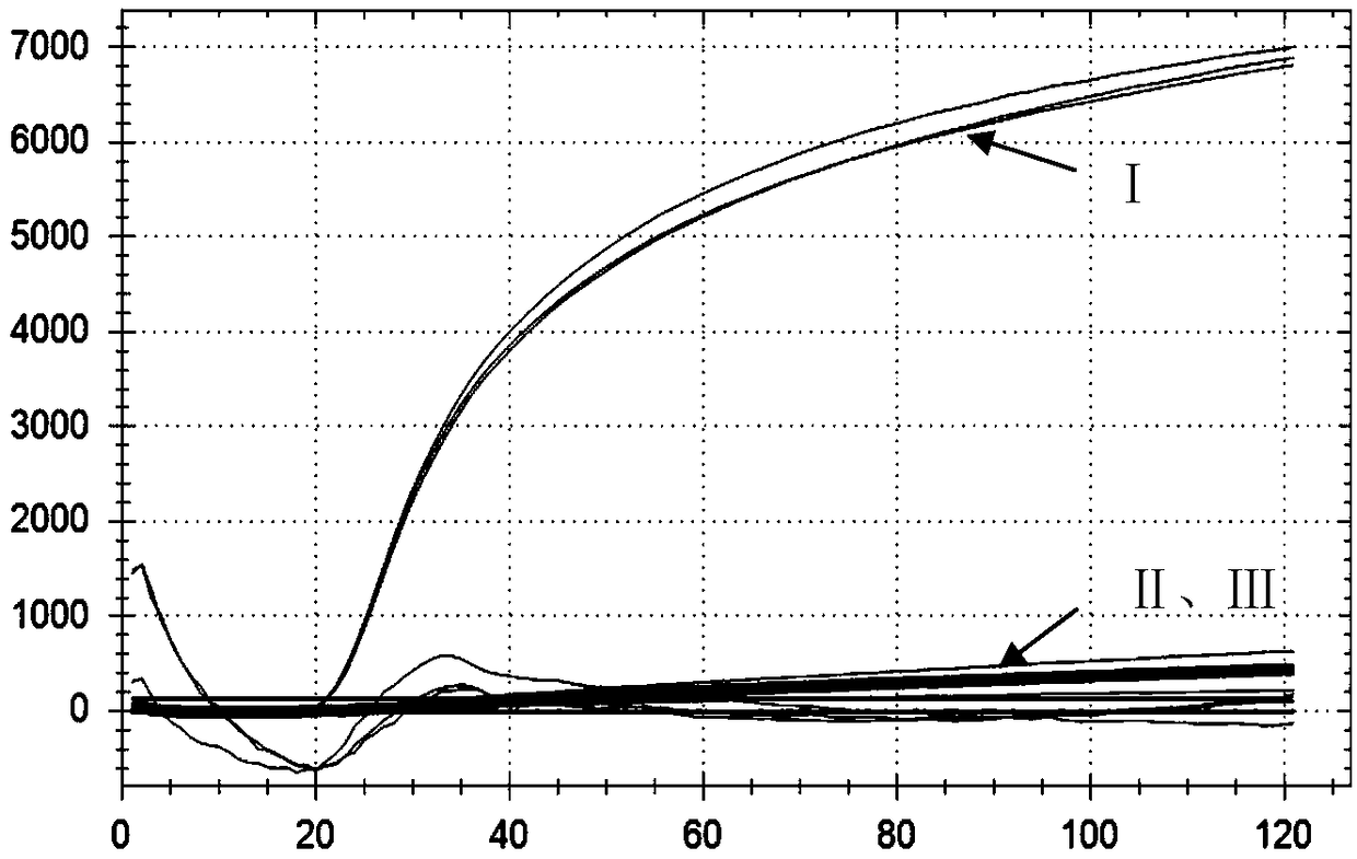 Fluorescent ring-mediated isothermal amplification method based on molecular beacon