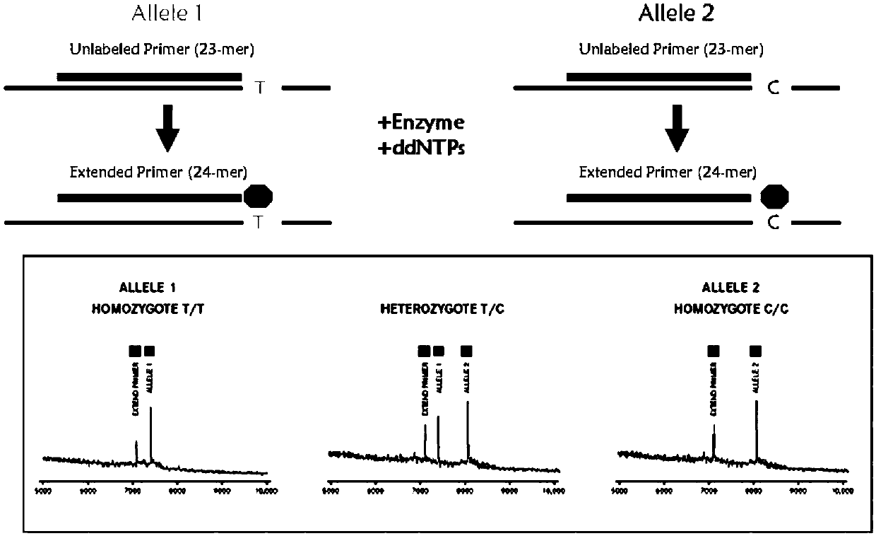 Detection product for discriminating individualized medication type of nitrendipine and atenolol