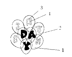 Transparent plastic product and printing method of transparent plastic product