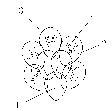 Transparent plastic product and printing method of transparent plastic product