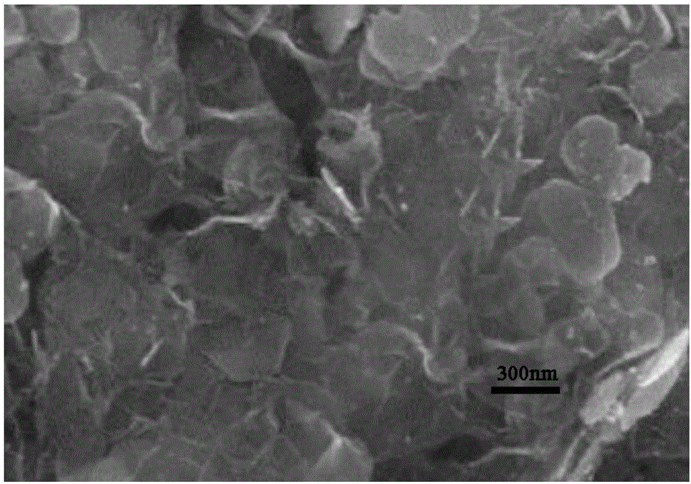 Tin diselenide/polyethyleneimine composite material and preparation method and application thereof