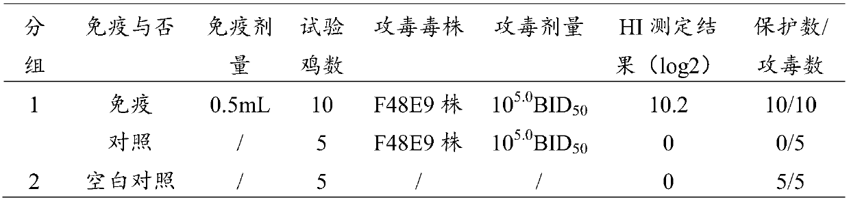 Avian adenovirus, quadruple vaccine and preparation method thereof