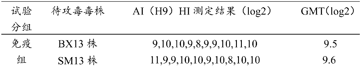 Avian adenovirus, quadruple vaccine and preparation method thereof