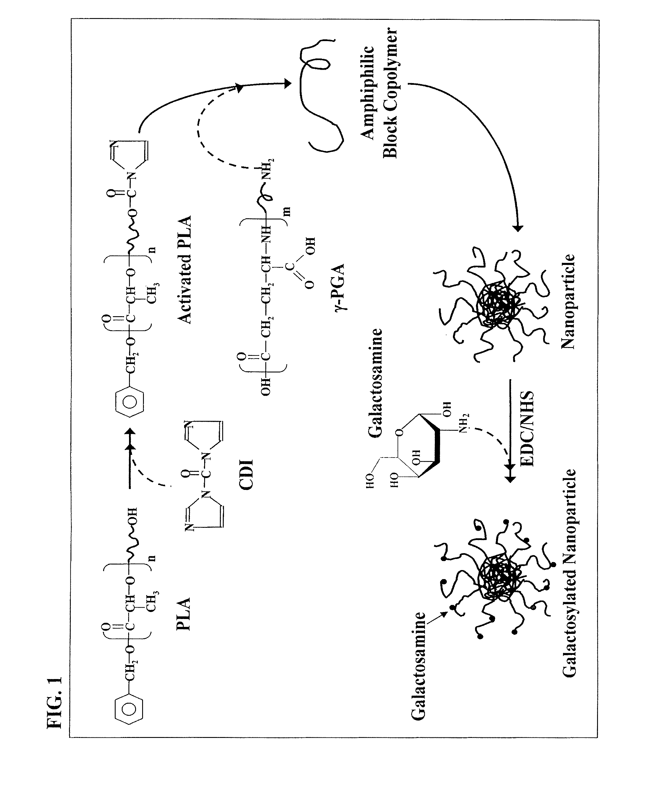 Pharmaceutical composition of nanoparticles