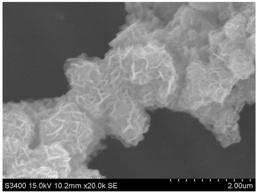 Flower-shaped MoS2 loaded Ag3PO4 nanosphere composite visible light catalyst and preparation method thereof