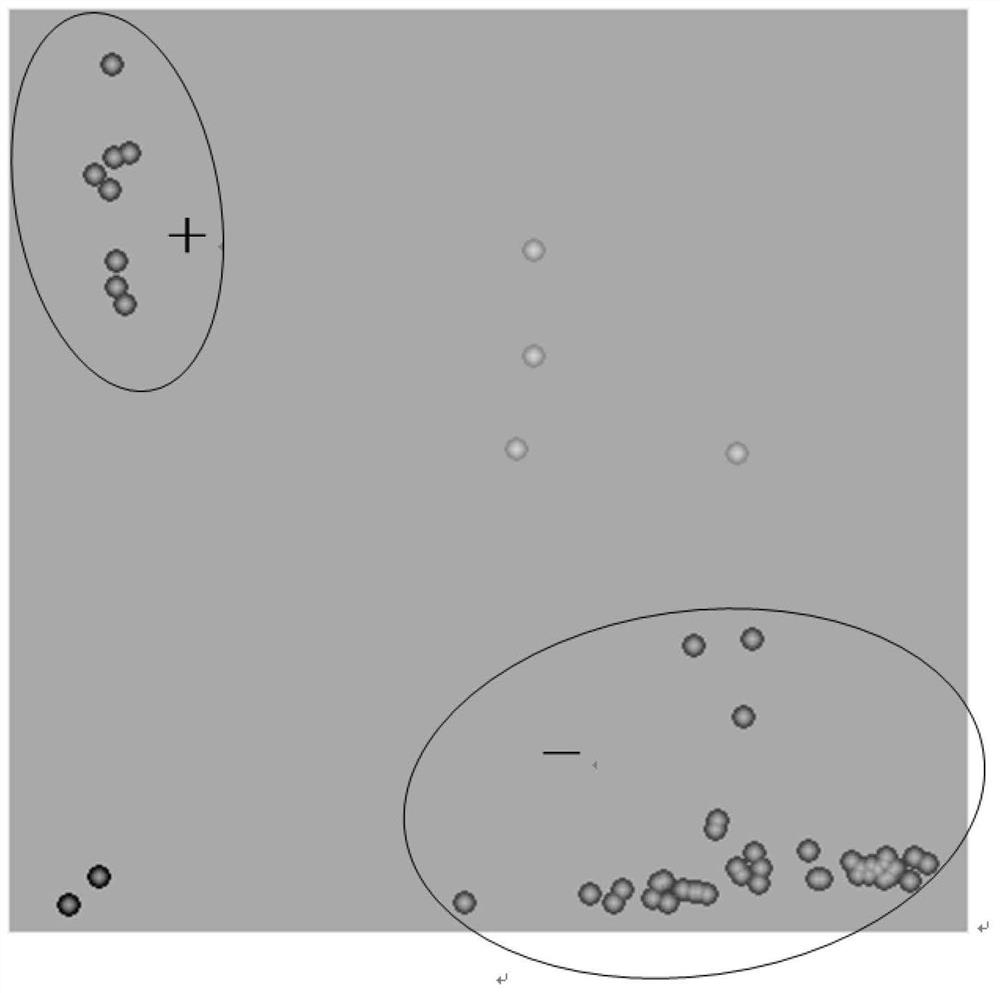 Molecular marker separated from low-polyphenol-oxidase-activity gene QPpo-5D of wheat