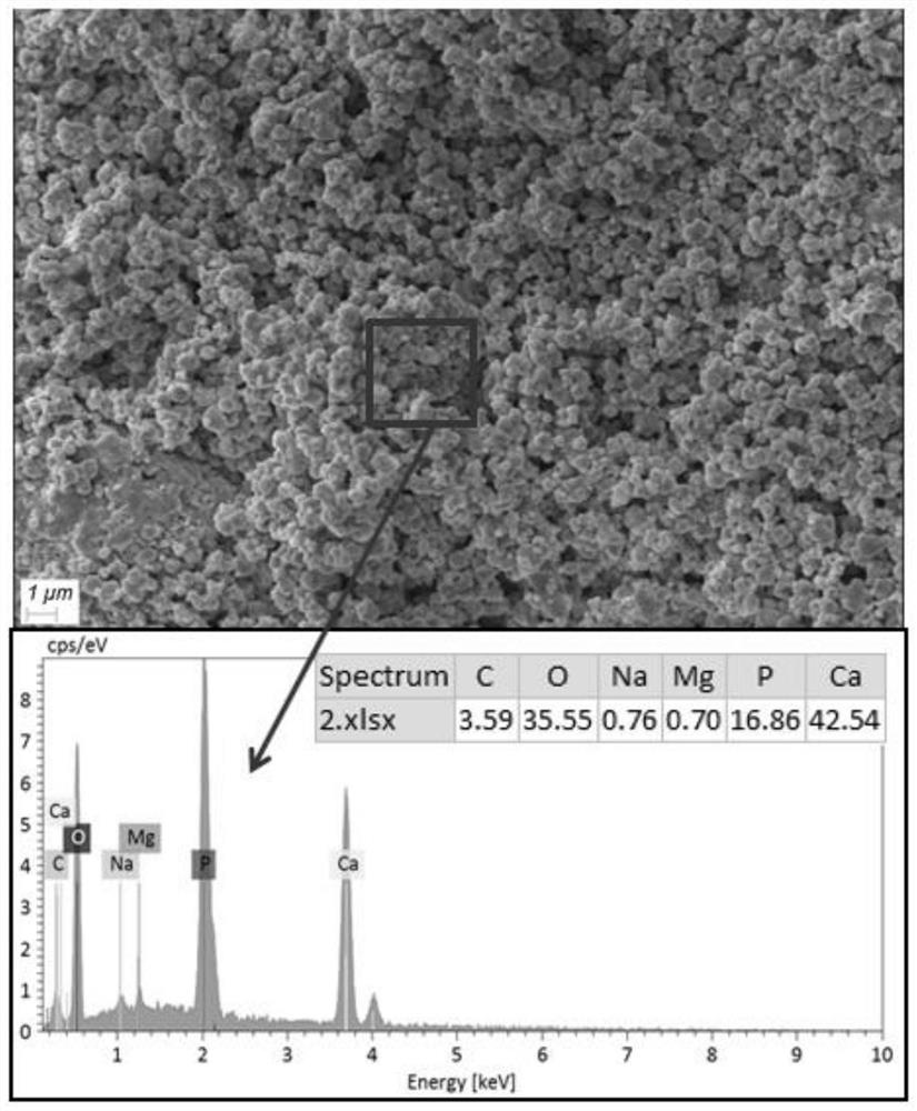 A kind of bone repair material constructed by 3D printing and its preparation method