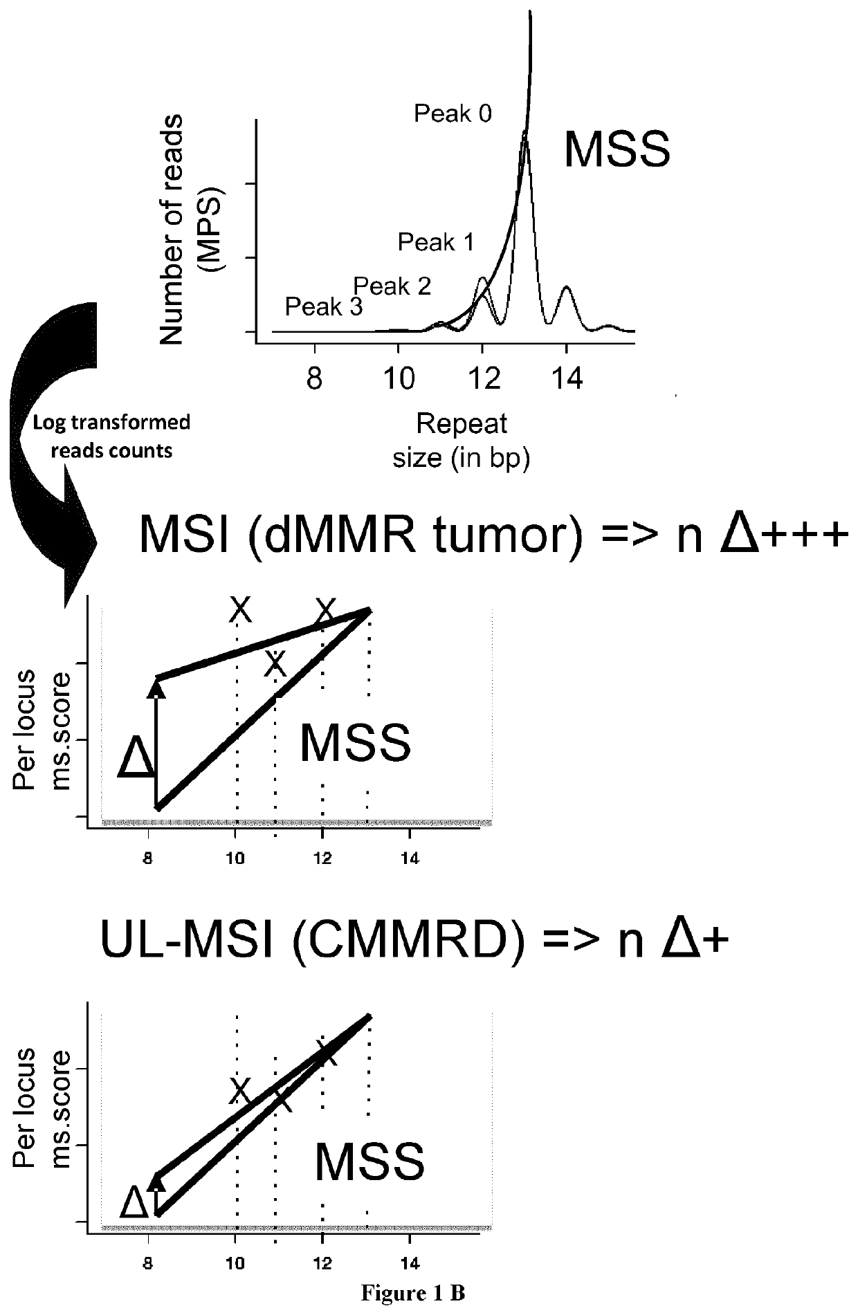 Method to diagnose a cmmrd