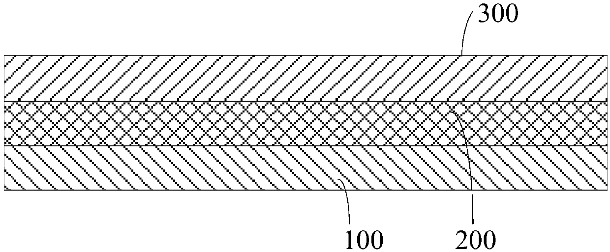 Display module and convertible privacy display