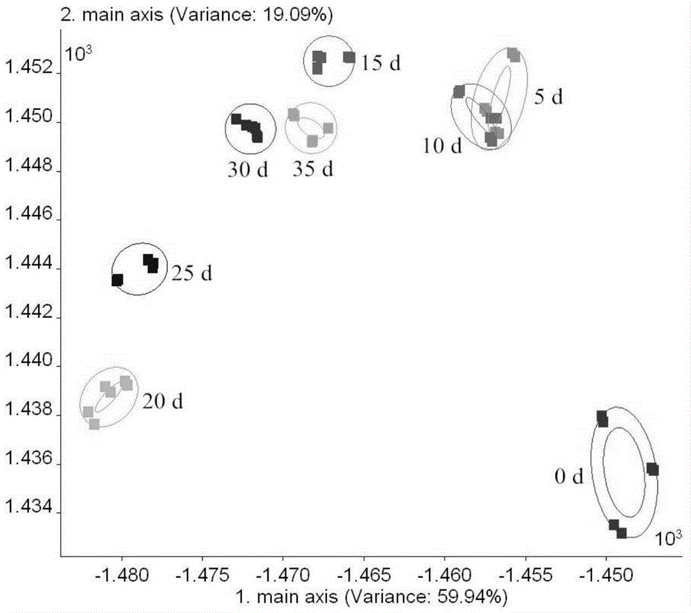 Electric-nose-analysis-based determination method of tuna oil corruption degree in storage process