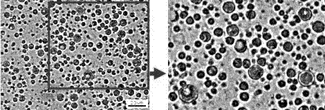 Method for preparing micro-particle-size water(W)/oil(O)/water(W) multiple emulsion carrying medicine