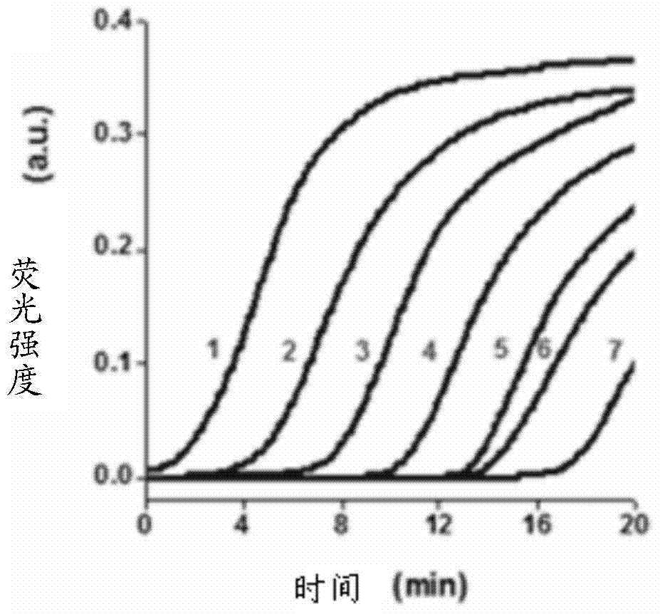 Telomerase activity detecting probe, reagent kit and method