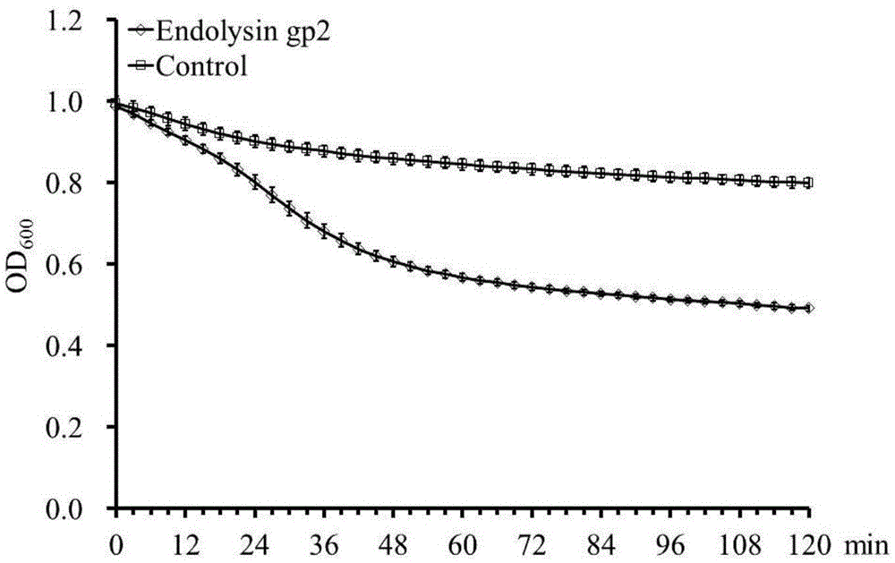 Preparation method and antibacterial application of plesiomonas shigelloides phage endolysin