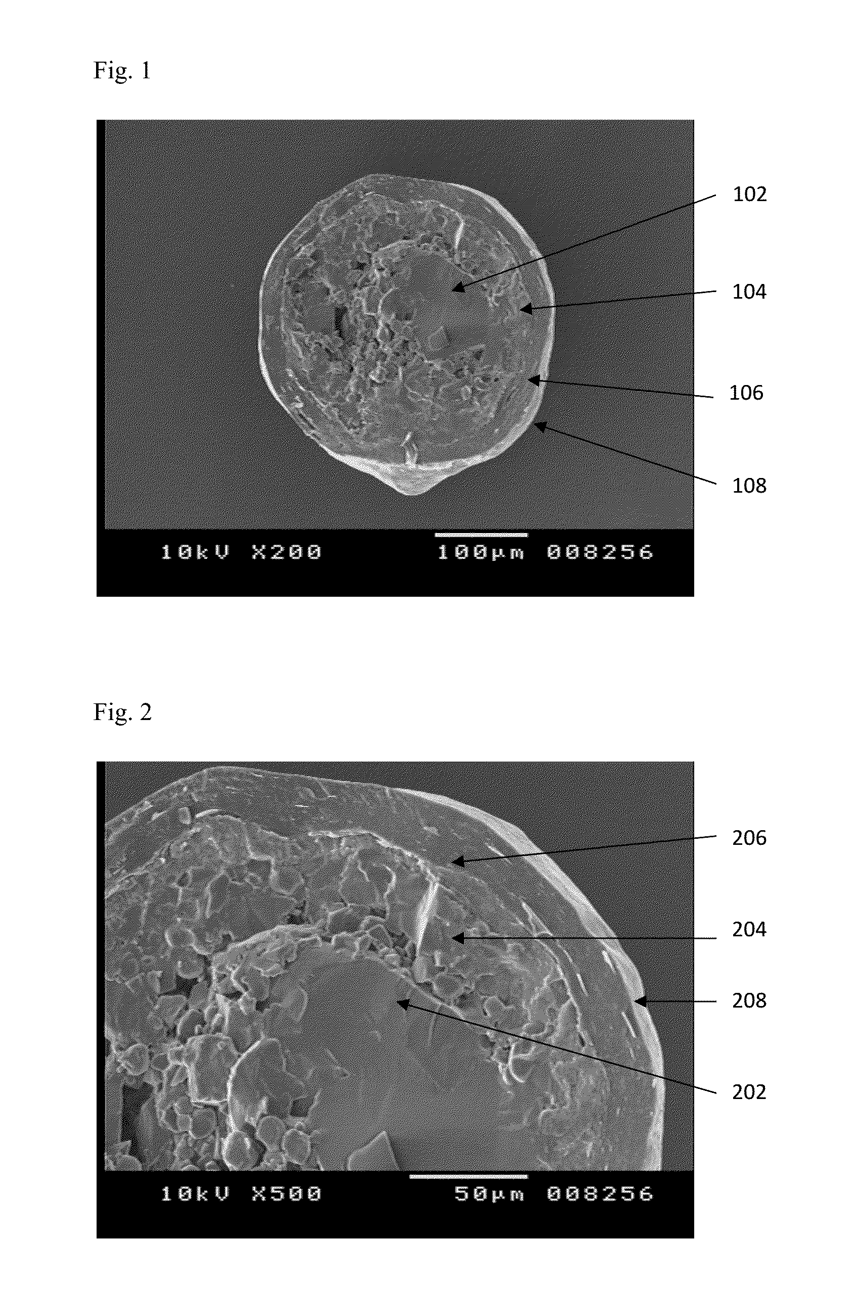 Composition of oily, pungent and odoriferous substances and a process of preparation thereof