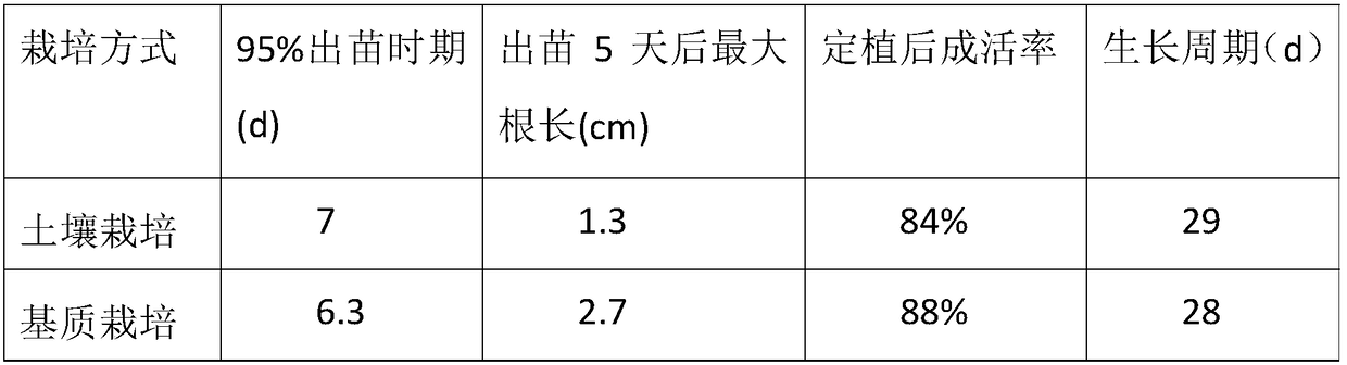 Ice plant water planting cultivation method