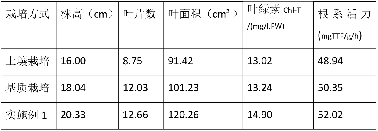 Ice plant water planting cultivation method