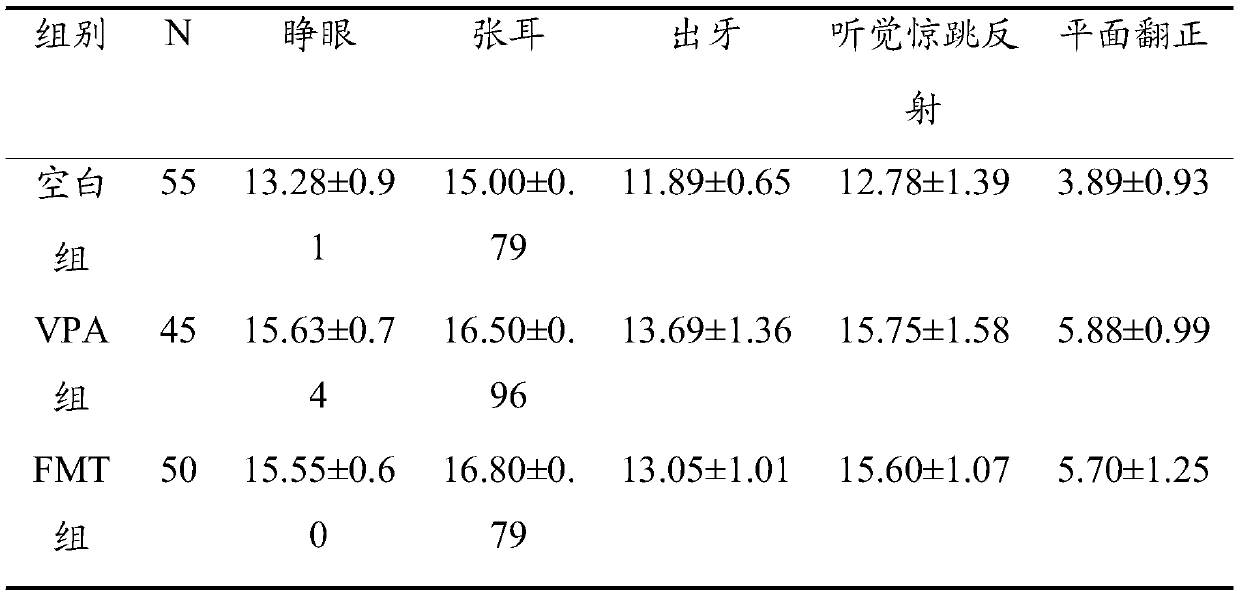 Method for establishing autism rat model by applying fecal bacterium transplantation method