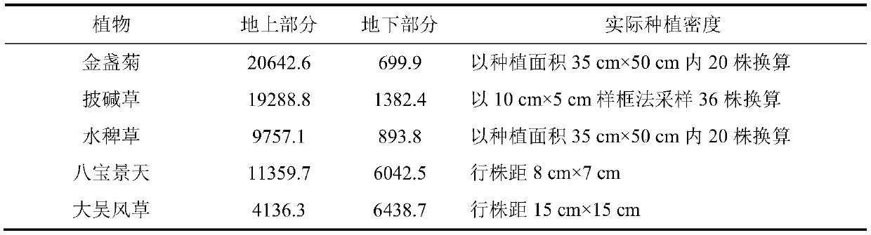 Phytoremediation method for combined pollution of Cd, Zn and Cu in river dredging sediment