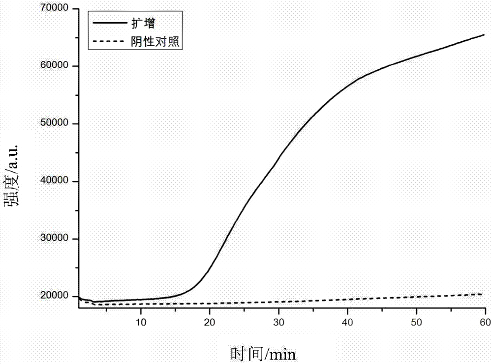 LAMP (loop-mediated isothermal amplification) primer group for amplifying MERS-CoV, and kit