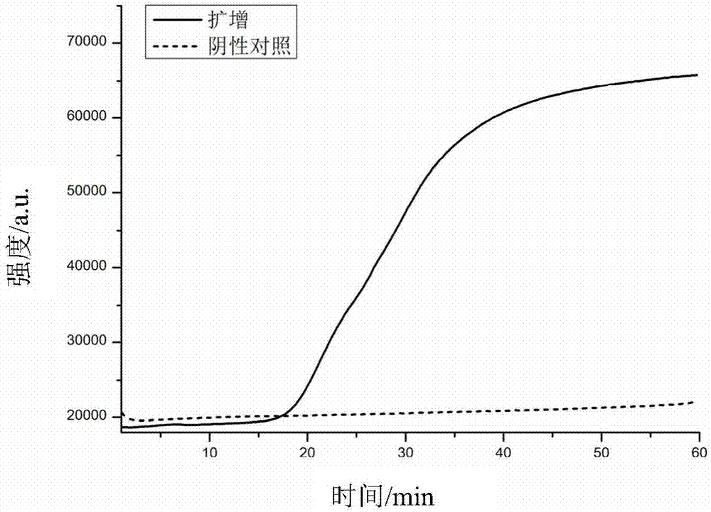 LAMP (loop-mediated isothermal amplification) primer group for amplifying MERS-CoV, and kit