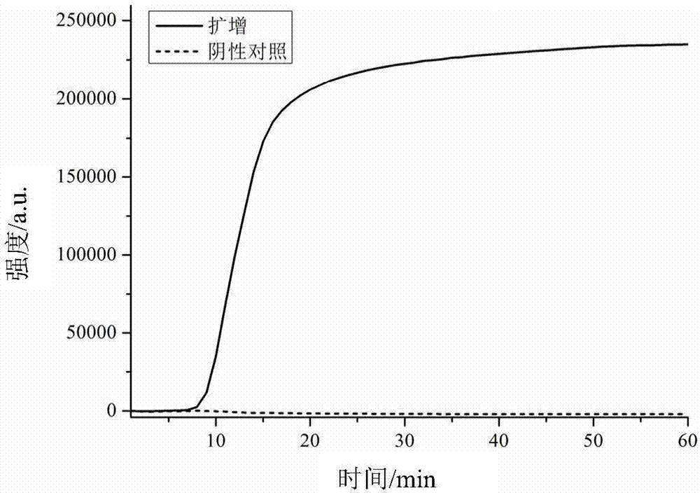 LAMP (loop-mediated isothermal amplification) primer group for amplifying MERS-CoV, and kit