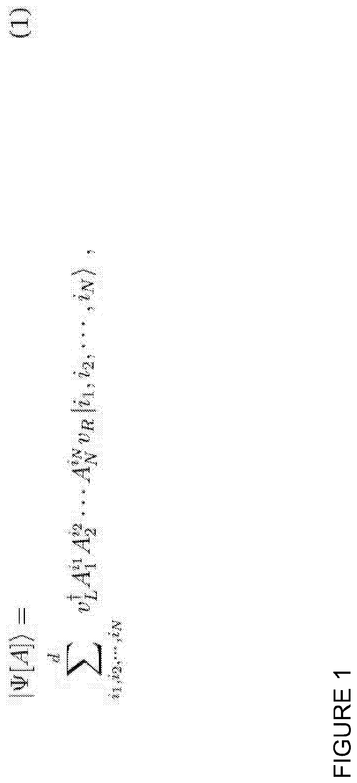 A quantum circuit based system configured to model physical or chemical systems