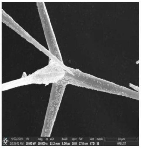 Preparation method of spherical Ag@T-ZnOw powder and method and application for preparing high-dielectric polymer composite film