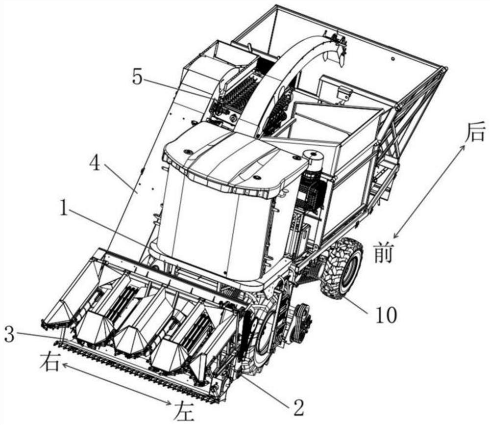 Ear lifting system of stalk and ear harvesting type corn harvester