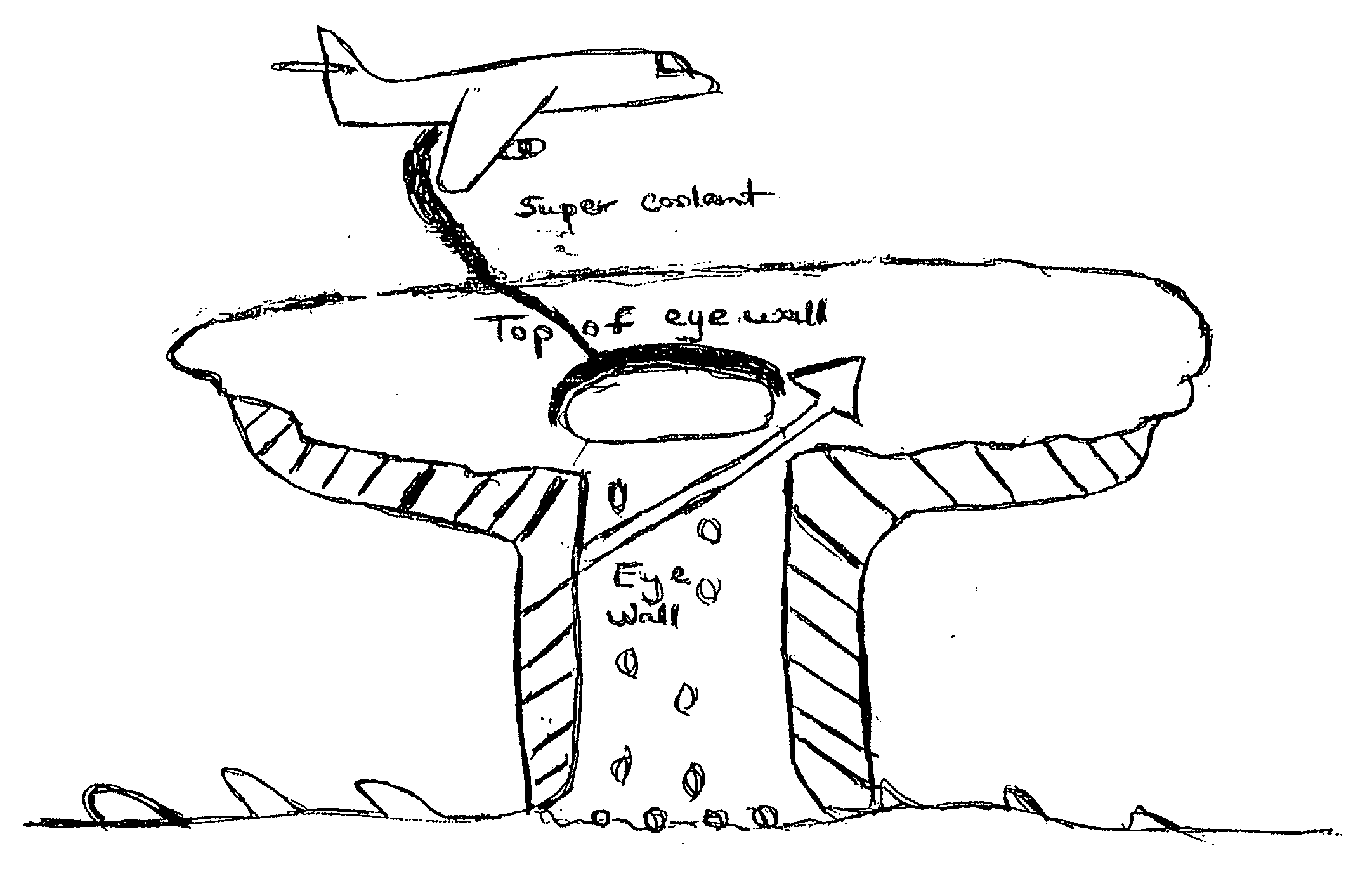 Tropical hurricane control system