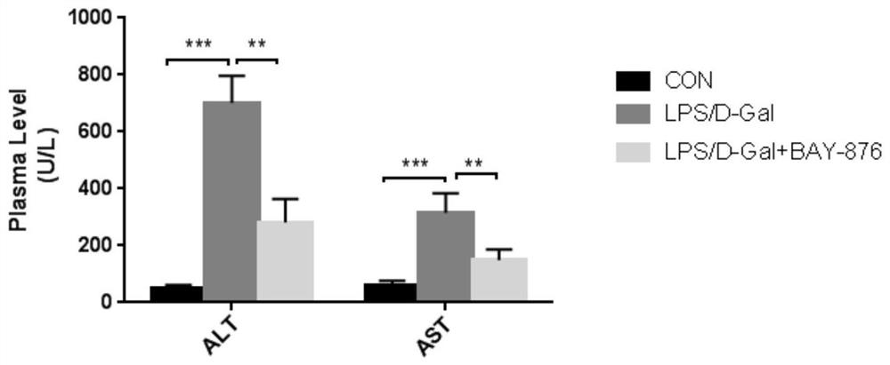 Use of compound bay-876 in the preparation of medicines for treating and/or preventing liver damage