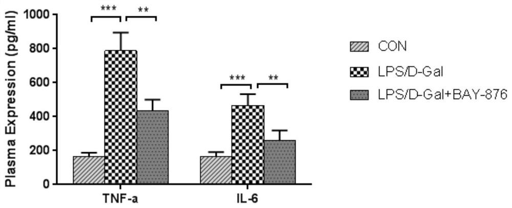 Use of compound bay-876 in the preparation of medicines for treating and/or preventing liver damage