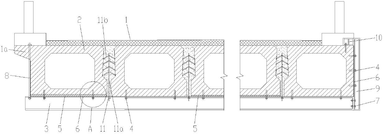 Concrete hollow slab bridge reinforced by transverse steel beams