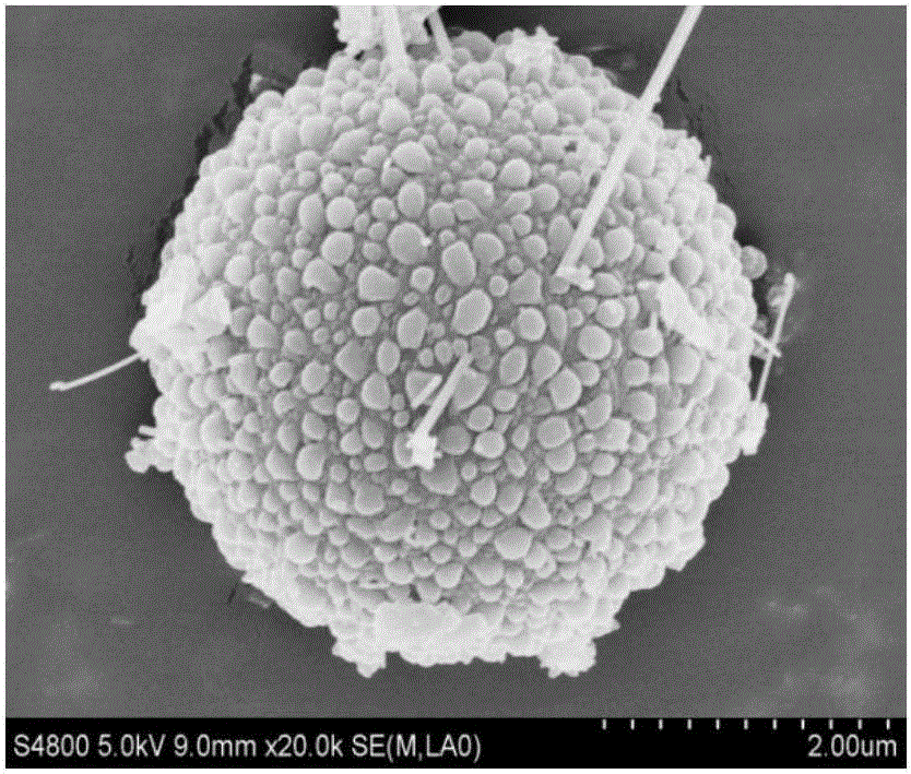 Magnetic biochar composite material preparation method based on microalgae