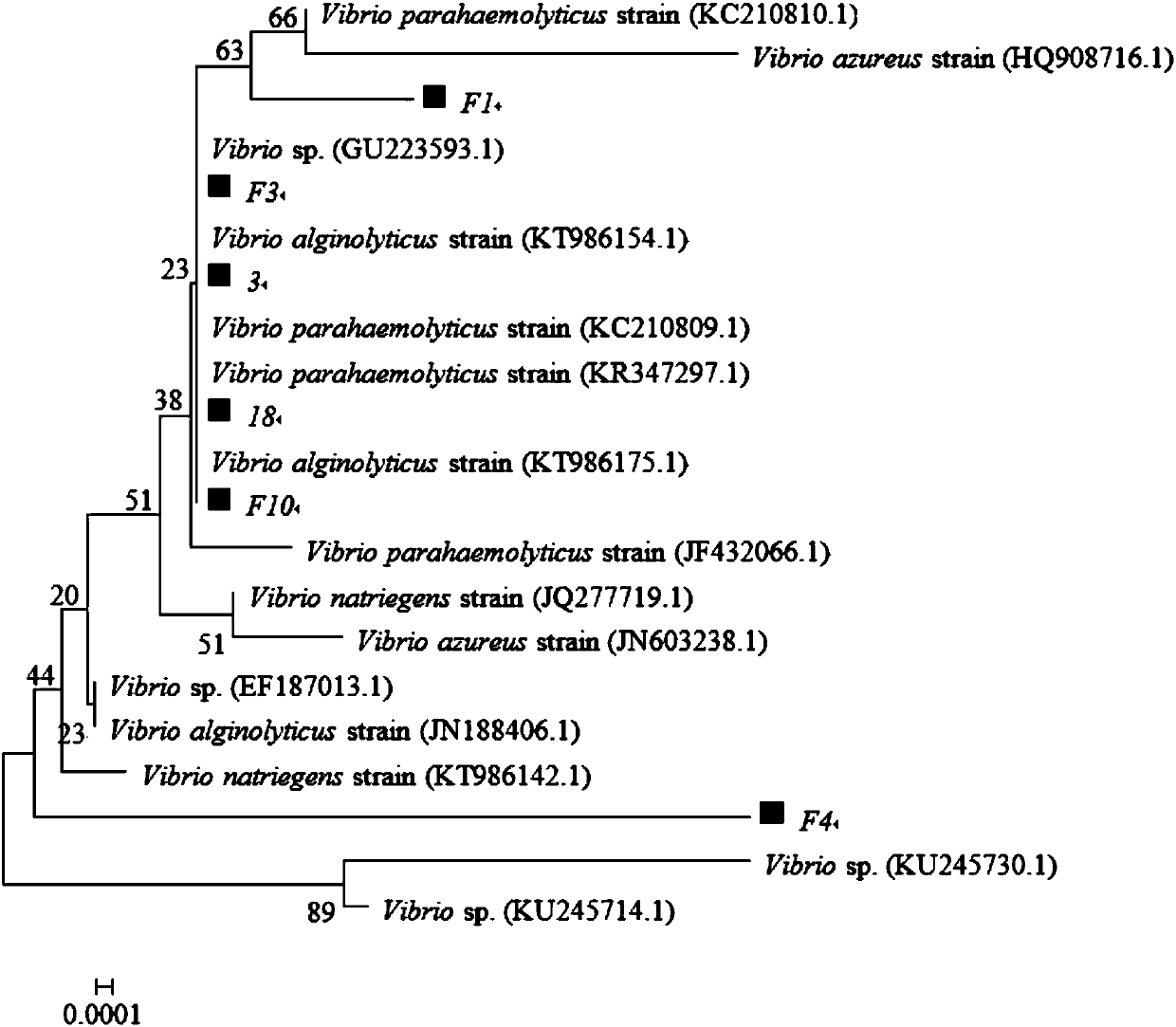 Lytic vibrio phage VspSw-1, bactericidal composition containing the same and application thereof