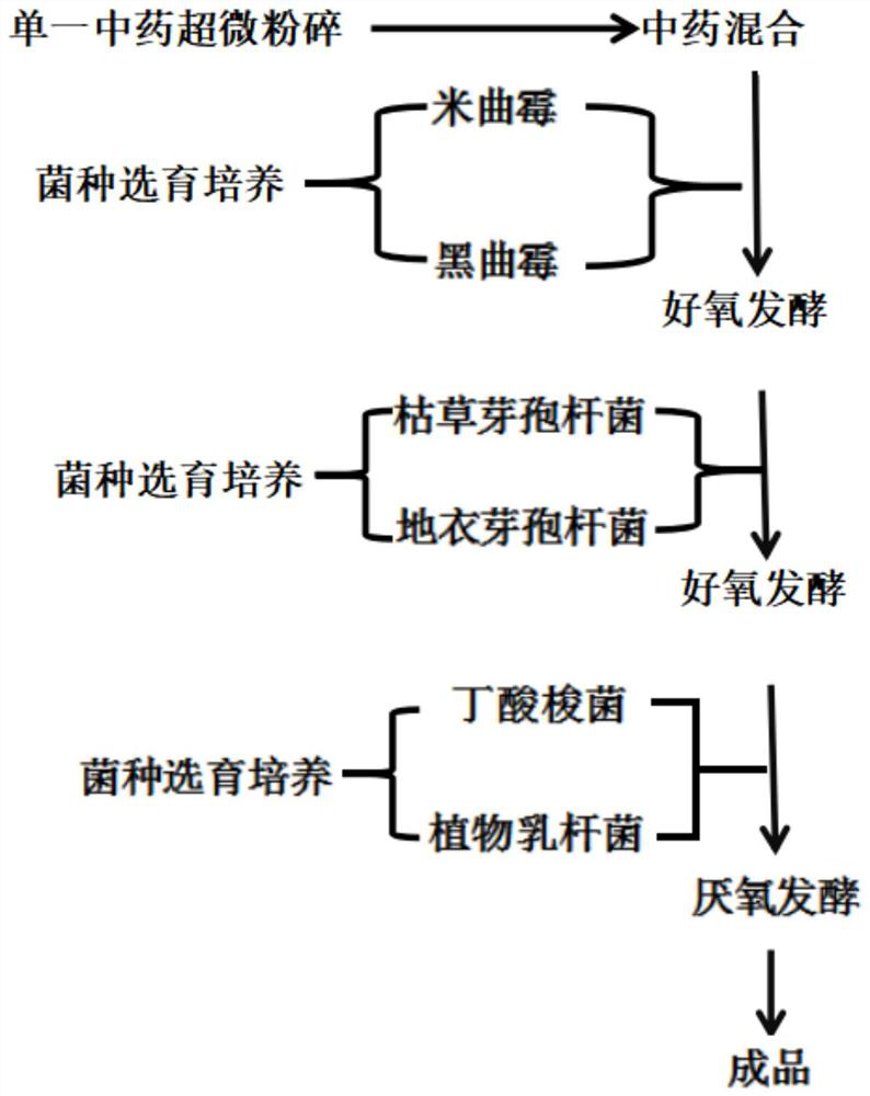 Fermented traditional Chinese medicine for preventing and treating bovine sarcoidosis, and preparation method thereof