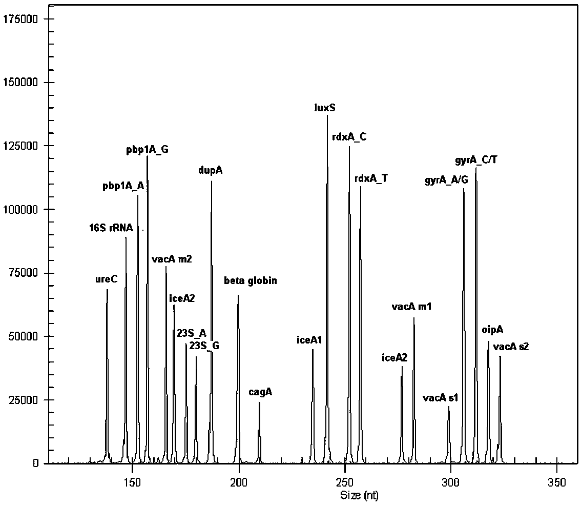 System for detecting multiple quantitative and virulent genes of H.pylori as well as kits and applications of system