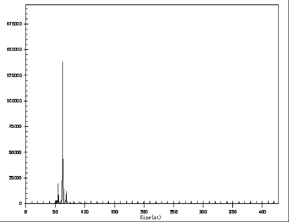 System for detecting multiple quantitative and virulent genes of H.pylori as well as kits and applications of system