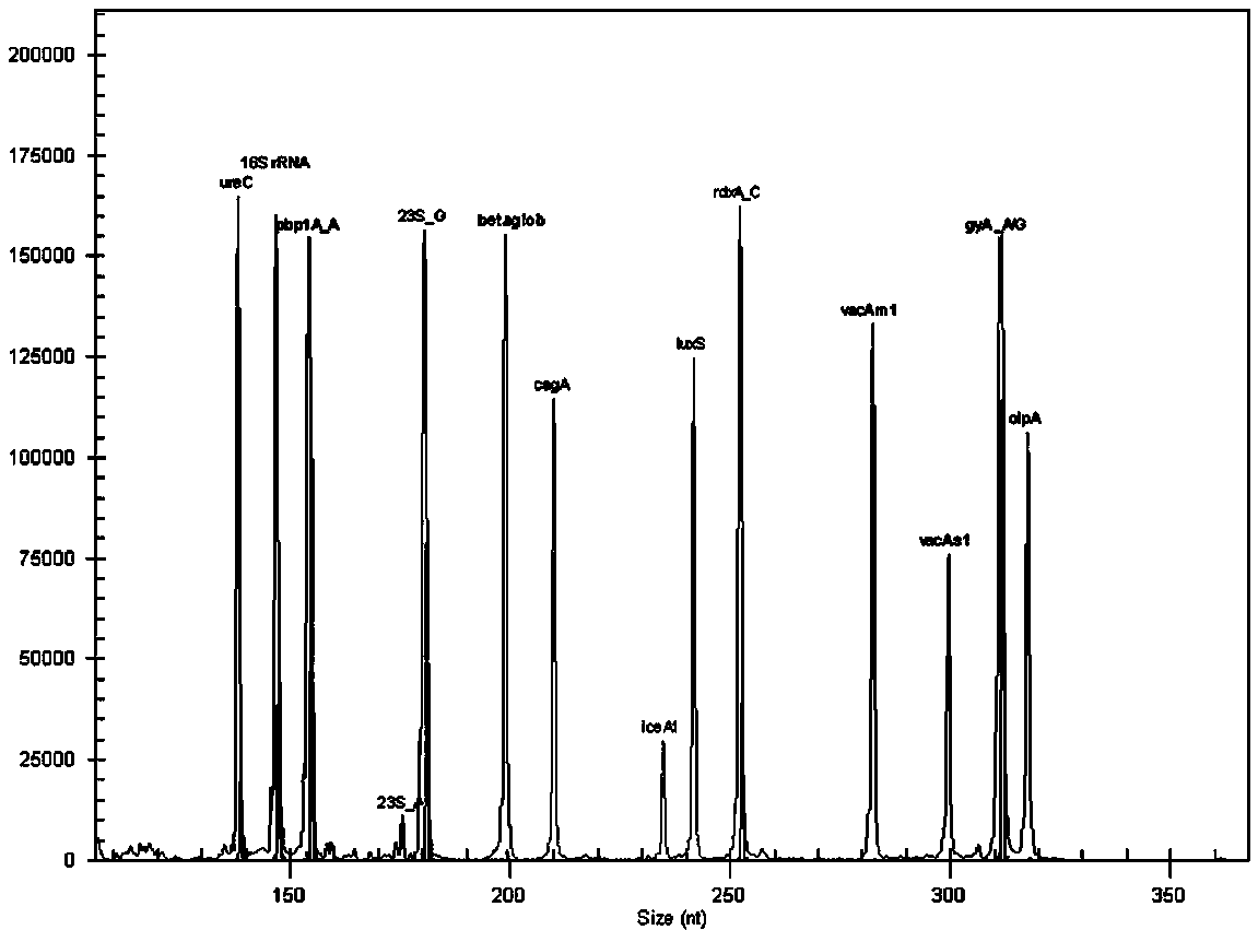 System for detecting multiple quantitative and virulent genes of H.pylori as well as kits and applications of system