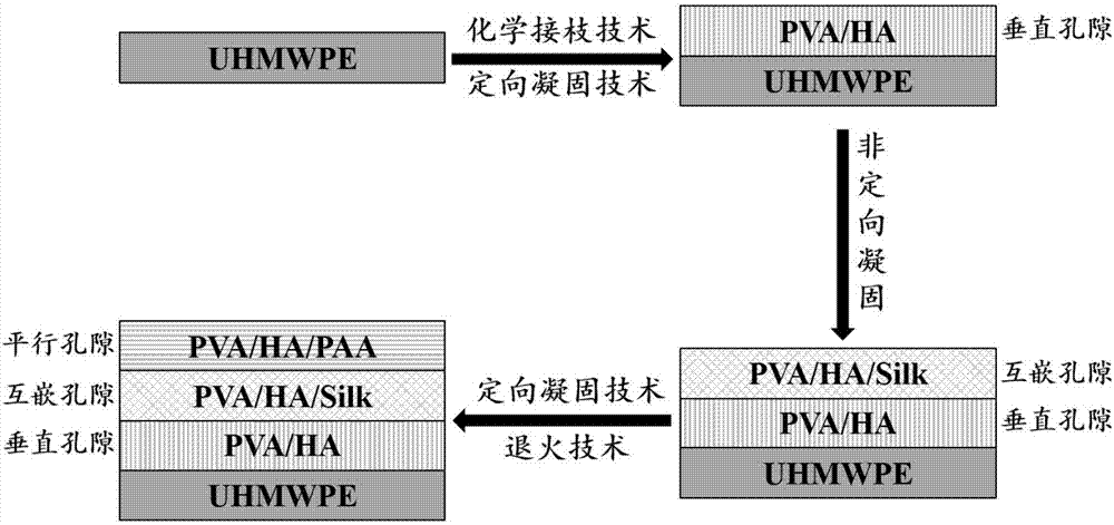 Process for preparing multilayer heterogeneous bionic joint cartilage material