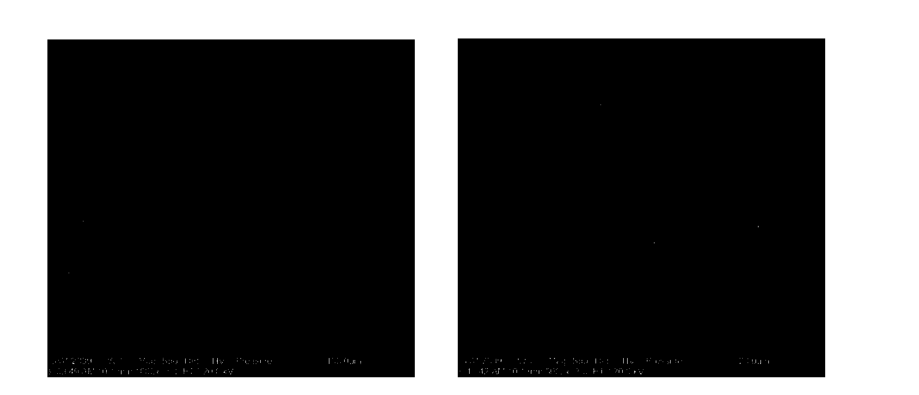 Method for preparing solid oxide fuel cell composite cathode through low-temperature sintering