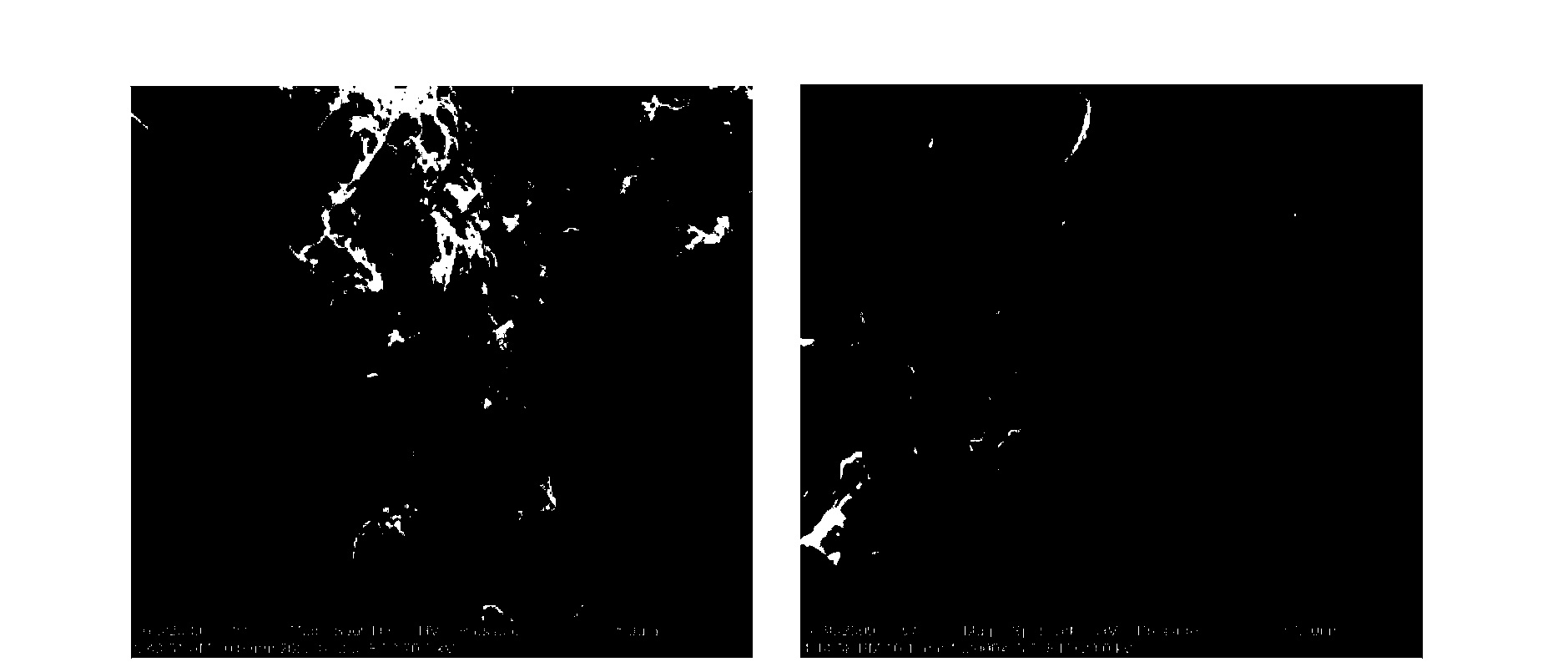 Method for preparing solid oxide fuel cell composite cathode through low-temperature sintering