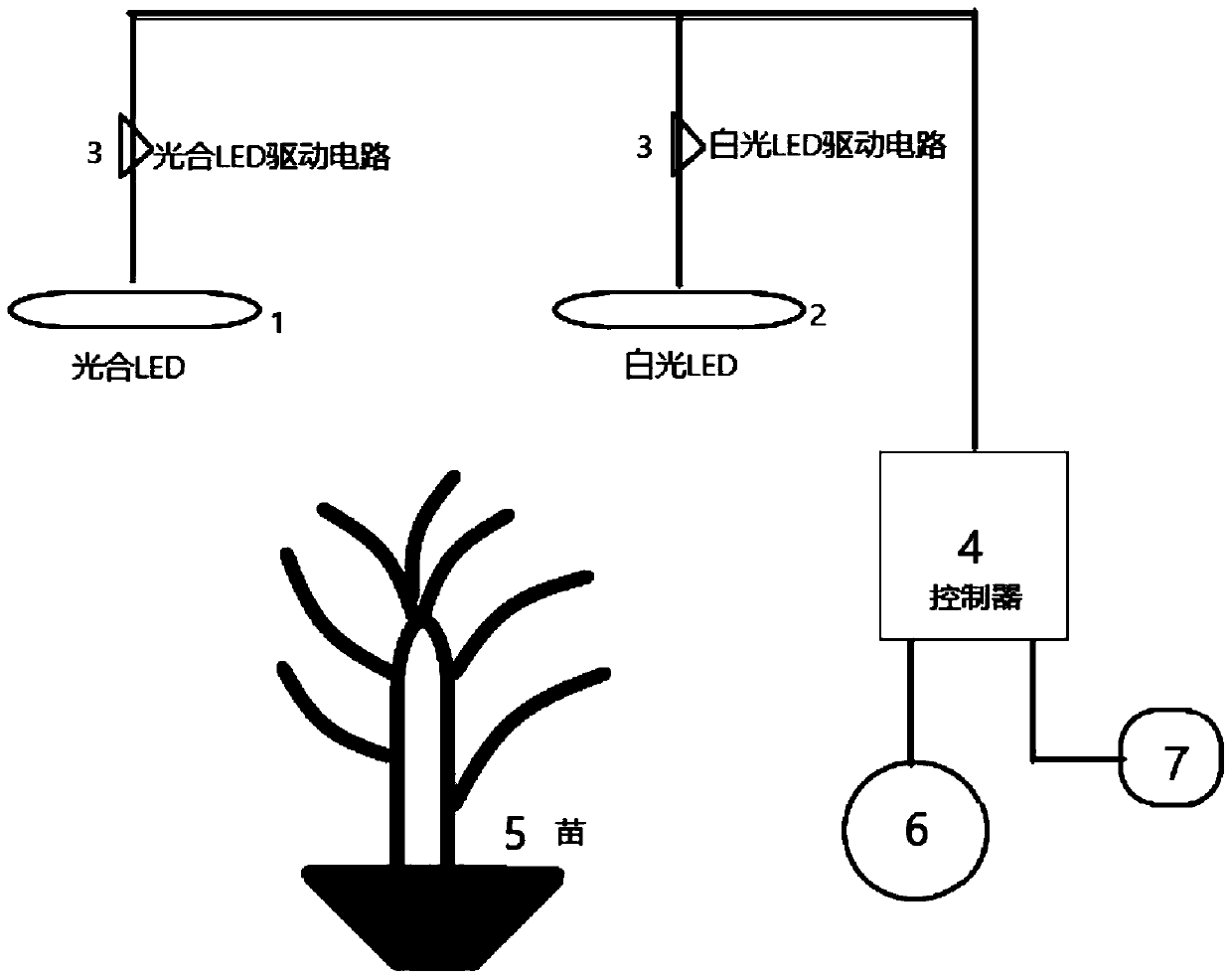 Light control hot pepper seedling raising method and illumination equipment