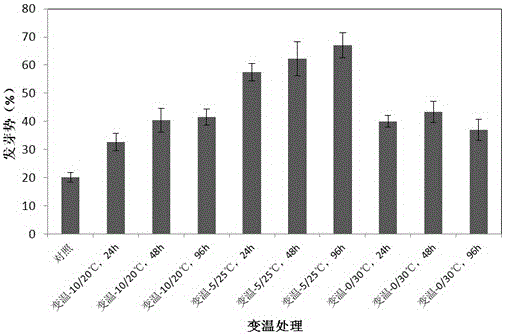 A rapid germination method and special device for seeds in bluegrass lawn establishment