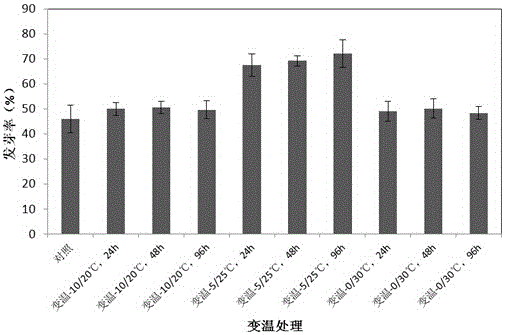 A rapid germination method and special device for seeds in bluegrass lawn establishment